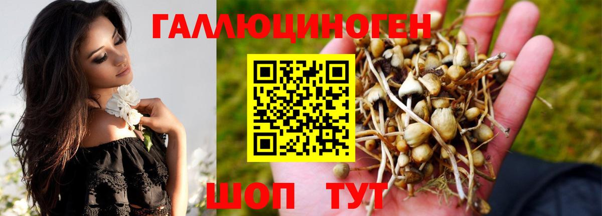 Галлюциногенные грибы ЛСД Тимашёвск